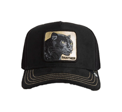 BASEBALL CAP GOLDEN  PANTHER VOID